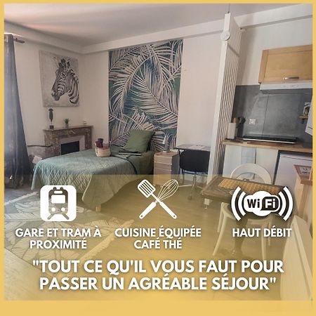 Beaublache Residence Studios Meubles Grenoble Eksteriør bilde