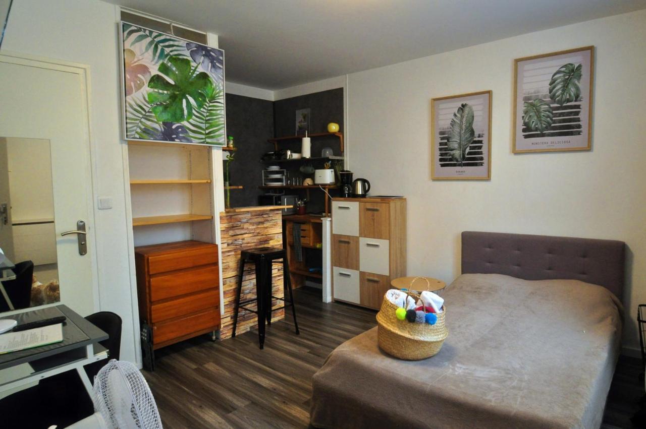 Beaublache Residence Studios Meubles Grenoble Eksteriør bilde