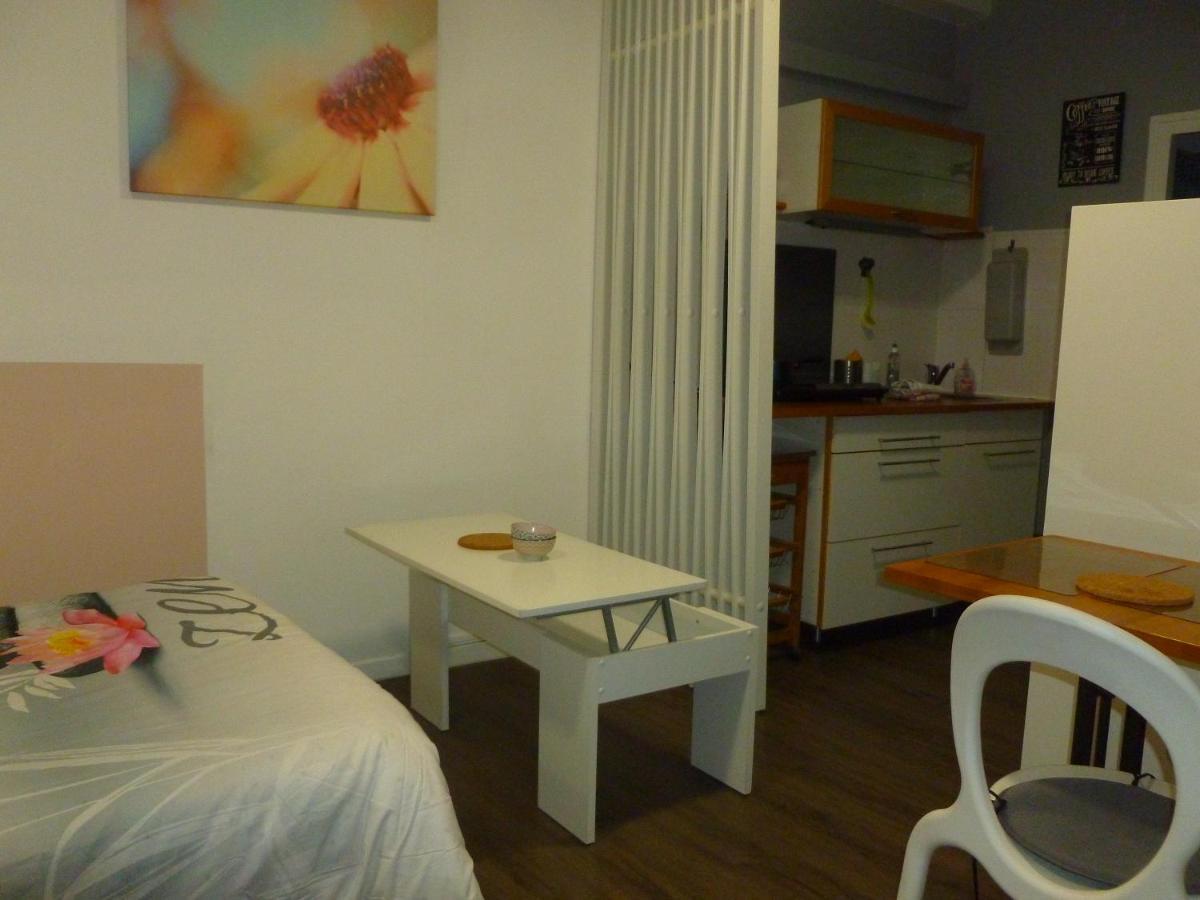 Beaublache Residence Studios Meubles Grenoble Eksteriør bilde