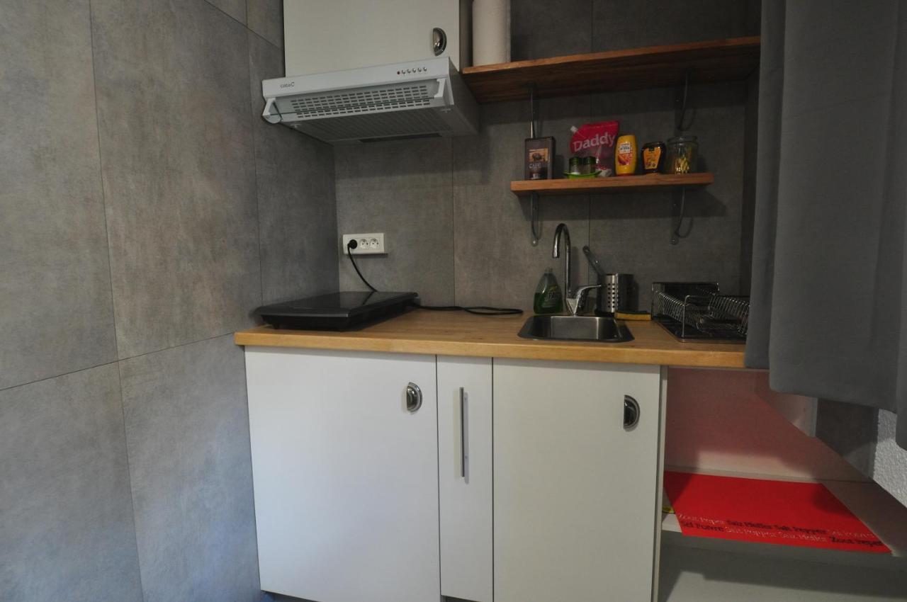 Beaublache Residence Studios Meubles Grenoble Eksteriør bilde