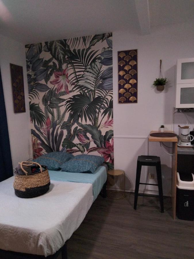 Beaublache Residence Studios Meubles Grenoble Eksteriør bilde