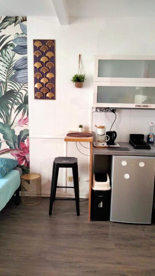 Beaublache Residence Studios Meubles Grenoble Eksteriør bilde